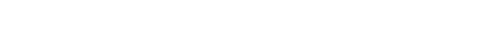 Software Services